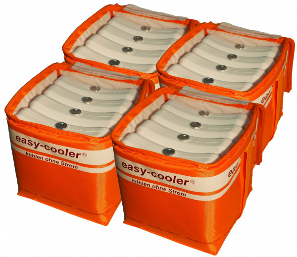 easy-cooler "cooling set 16" (4 x 4)