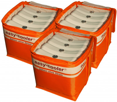 easy-cooler "kühlset 12" (3 x 4) easy-cooler "kühlset 12" (3 x 4)