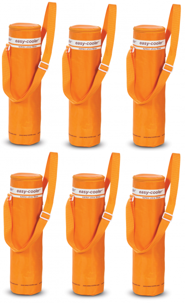 easy-cooler "flaschentasche" 6er Pack