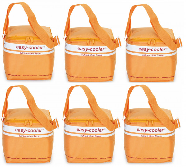 easy-cooler "thermobag" 6 pack